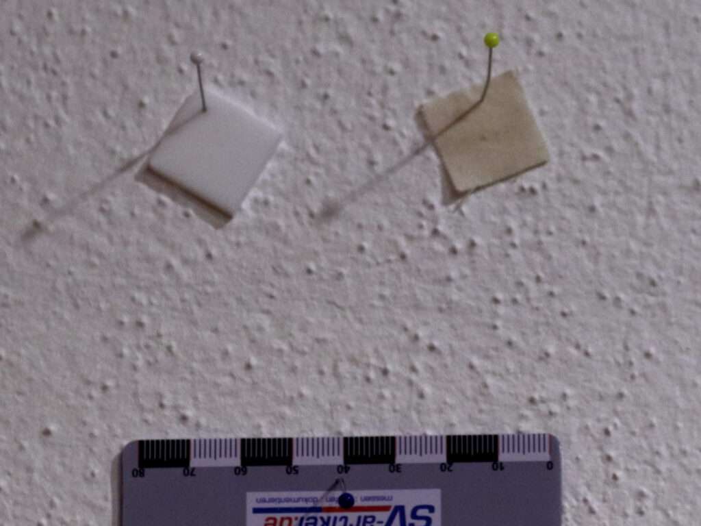 Detailaufnahme bei Kunstlicht - kein Feuchteschaden sichtbar